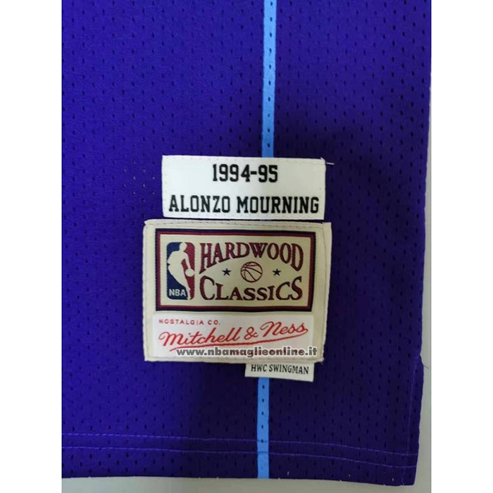 Maglia Charlotte Hornets Larry Johnson #2 Mitchell & Ness 1994-95 Viola